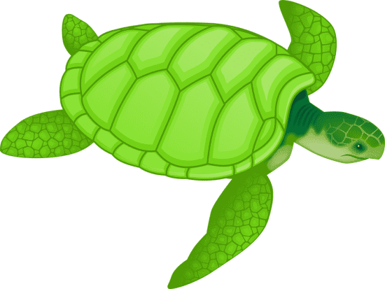 Maximas y minimas: la tortuga, un tributo a la resignación