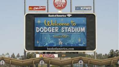 The dodgers