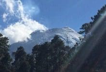 Arboles de navidad bajo el volcán popocatépetl