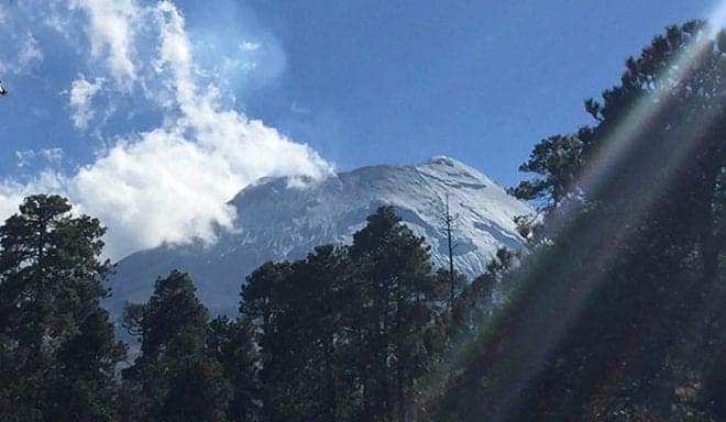 Arboles de navidad bajo el volcán popocatépetl