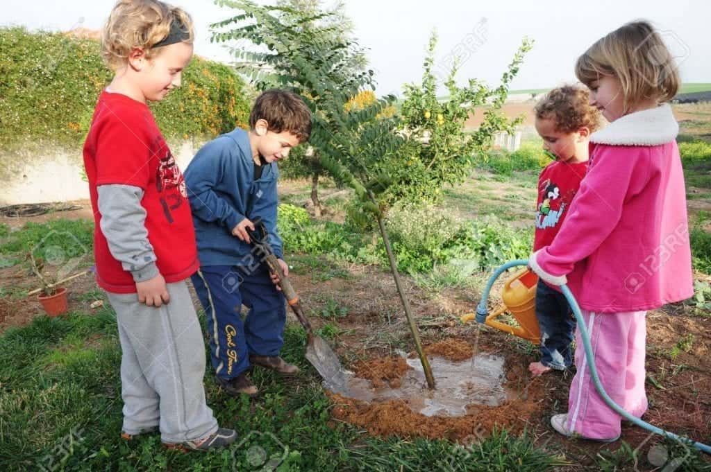 Tu b’shvat: el año nuevo de los árboles