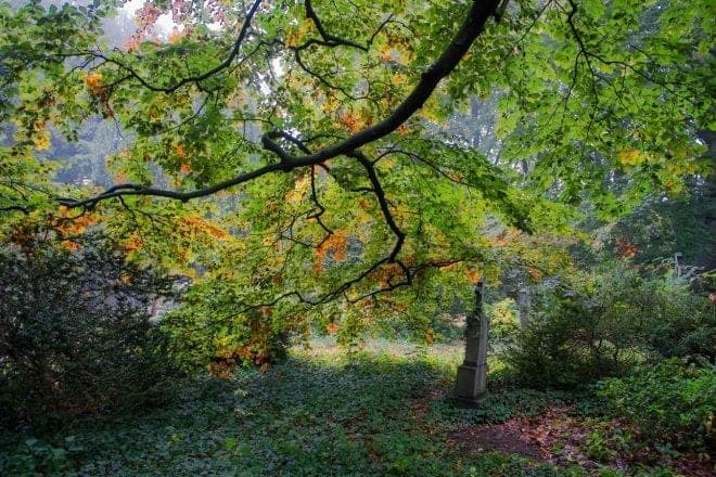 Naturaleza contra stress en la era del coronavirus