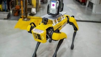 Perro robot