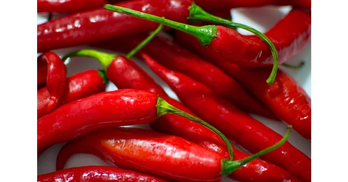 Red hot chili pepper 1200×630