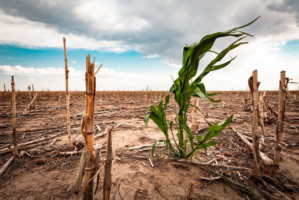 emergencia climática