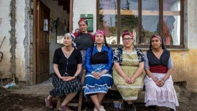 La lucha del pueblo mapuche por sus territorios