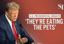 Trump miente haitianos gatos